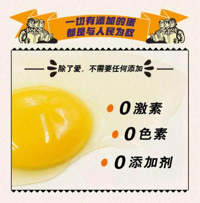 每天一個(gè)土元雞蛋 營(yíng)養又健康