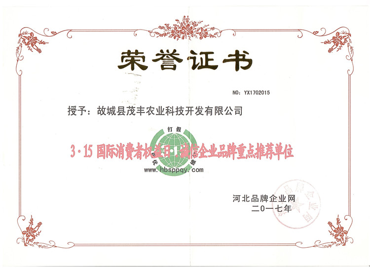 誠信企業(yè)品牌榮譽(yù)證書(shū)
