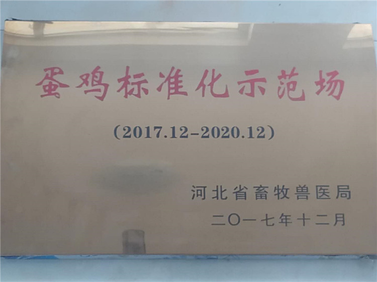 蛋雞標準化養殖廠(chǎng)