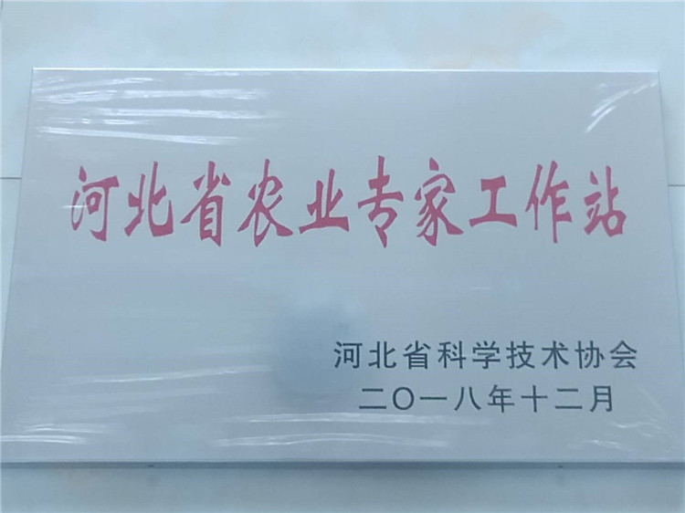農業(yè)專(zhuān)家工作站