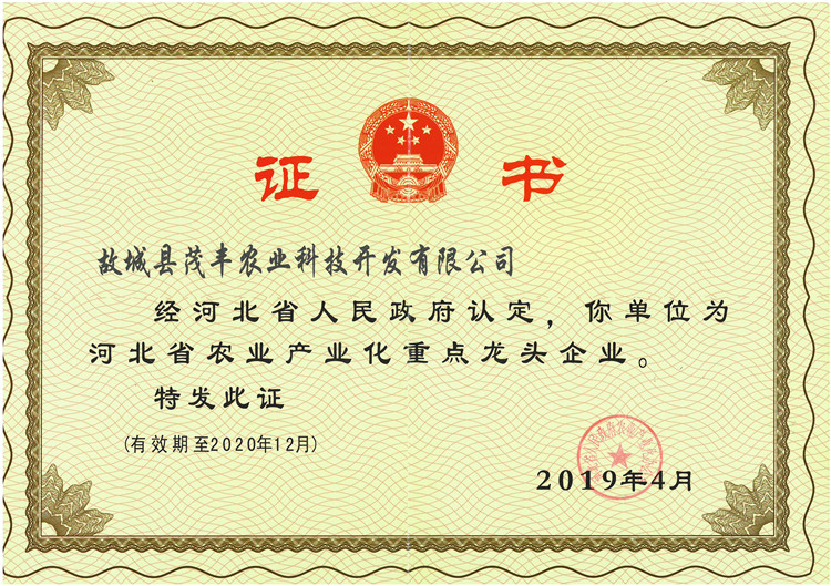 省重點(diǎn)龍頭企業(yè)證書(shū)
