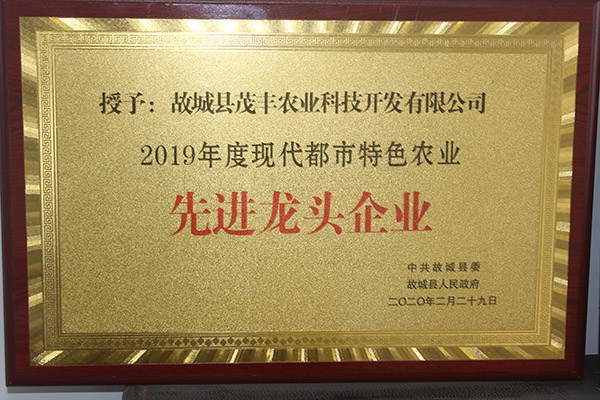 先進(jìn)龍頭企業(yè)